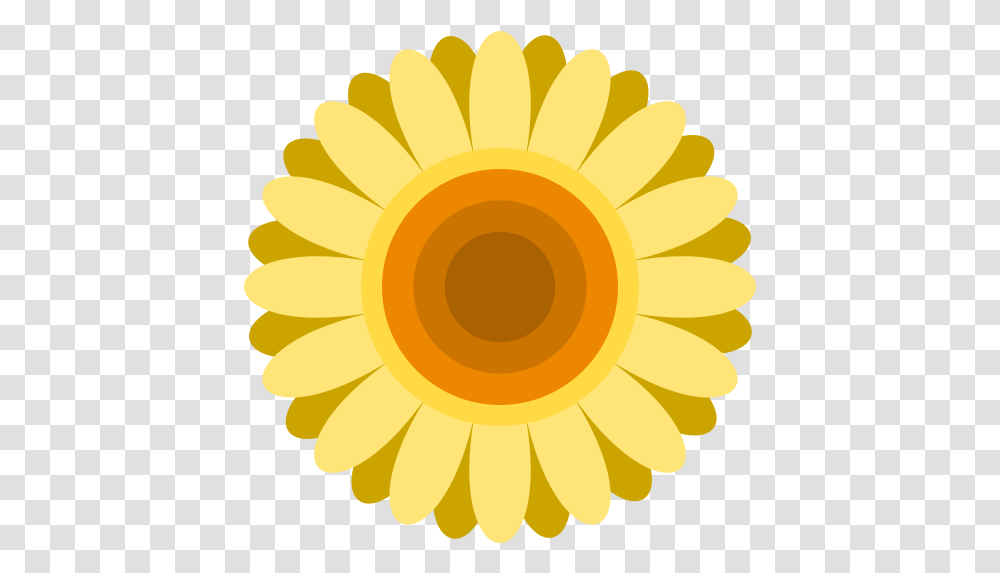 Sunflower Flower Icon 7 Repo Free Icons Sunflower, Plant, Blossom, Daisy, Daisies Transparent Png