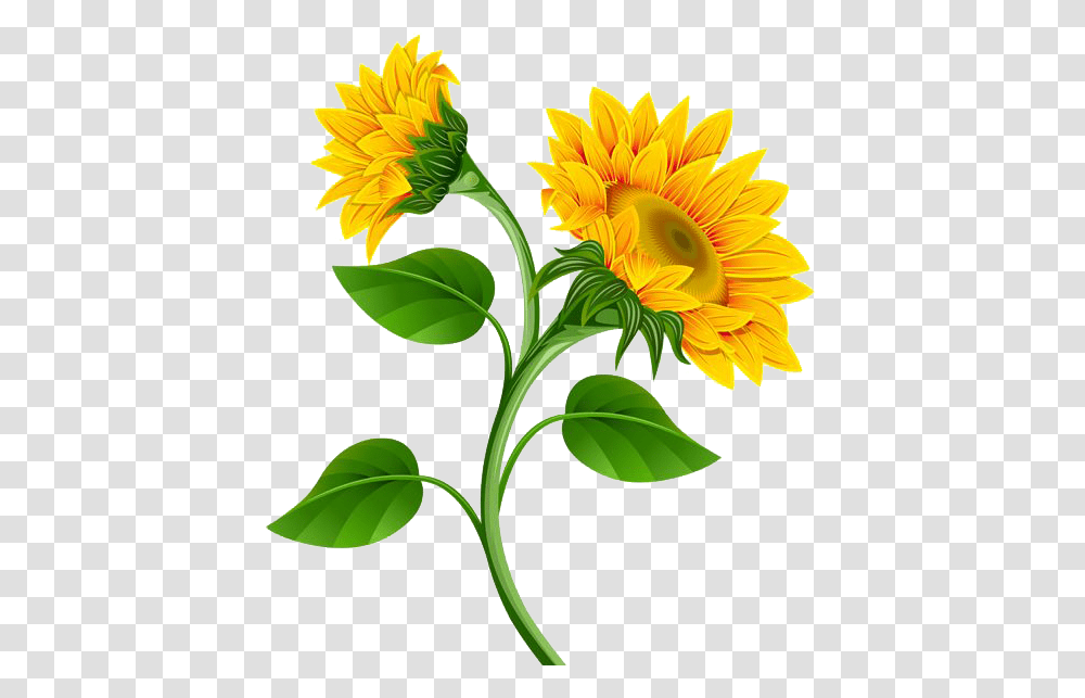 Sunflower Flower Nature Summer Stickers Yellow, Plant, Blossom, Petal, Daisy Transparent Png