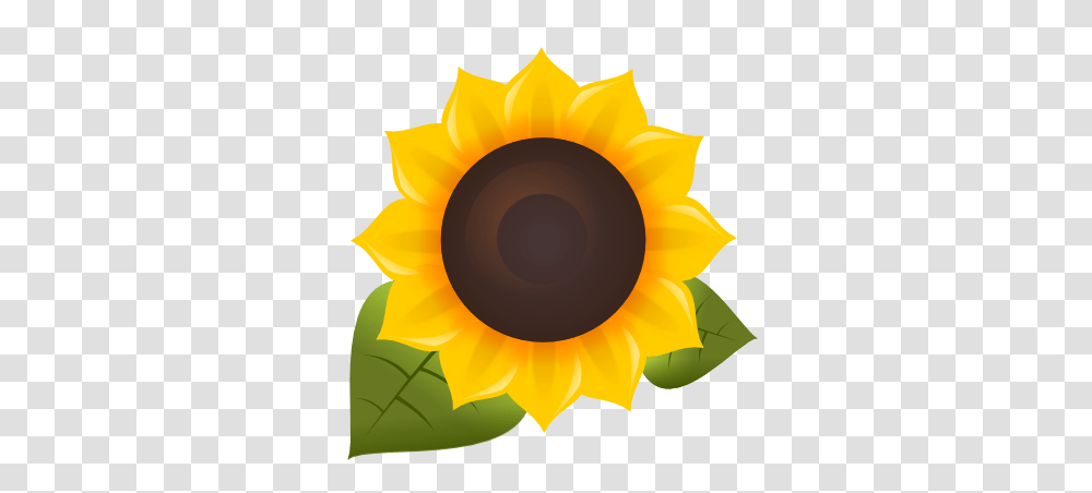 Sunflower Fm Logo, Plant, Blossom, Lamp, Photography Transparent Png