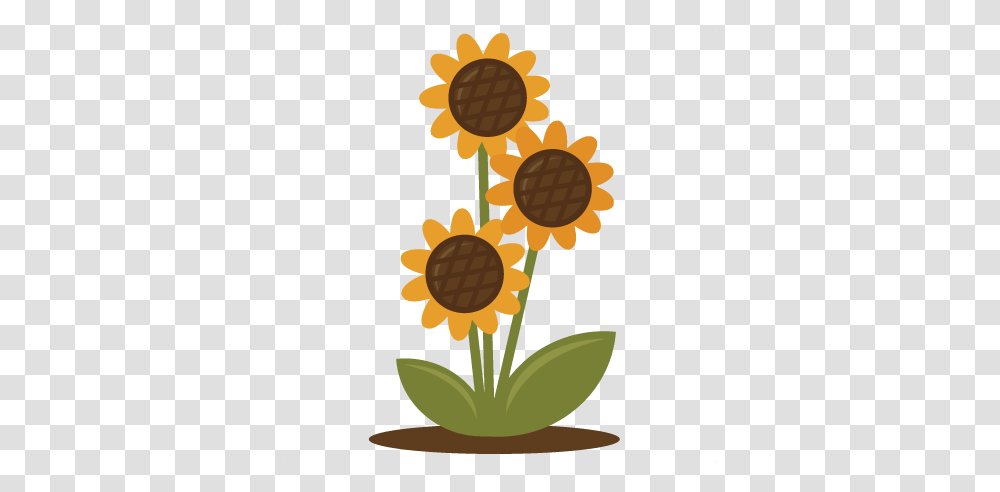 Sunflower For Scrapbooking Sunflower Free Svgs, Plant, Blossom, Daisy, Daisies Transparent Png