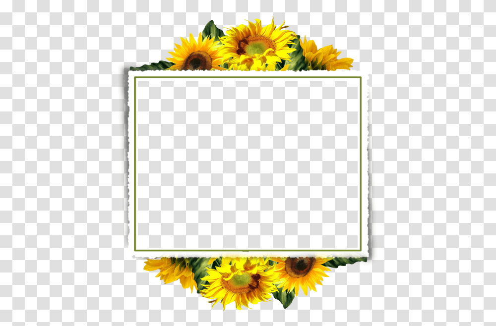 Sunflower Frame Background, Plant, Blossom, Monitor, Screen Transparent Png