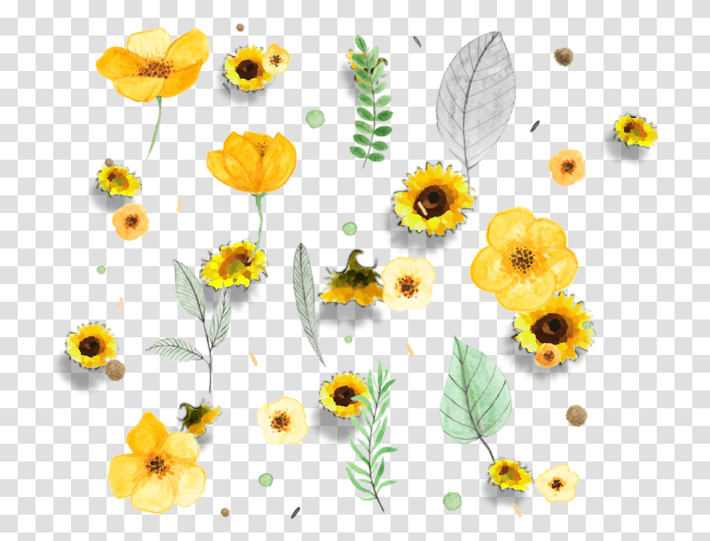 Sunflower Frame Yellow Flowers Watercolor, Plant, Floral Design Transparent Png