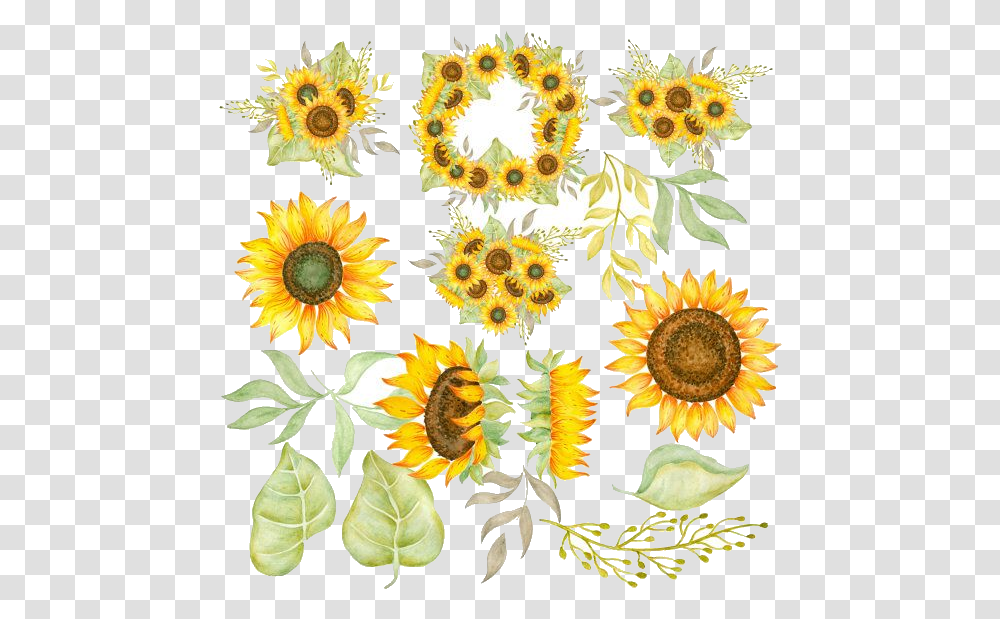 Sunflower Free Clipart Ideas On Images Watercolor Sunflower Clipart, Plant, Blossom, Pattern Transparent Png