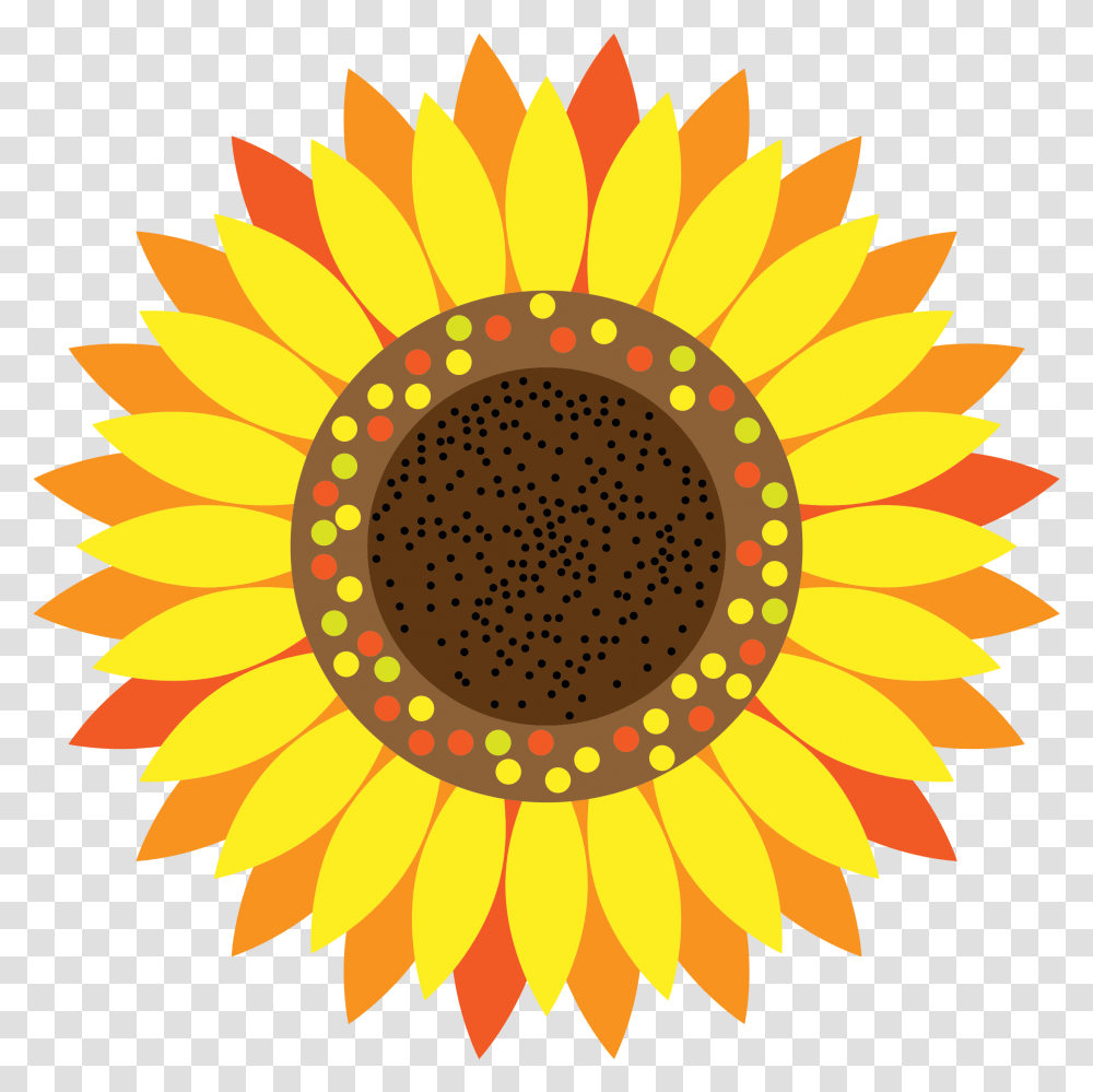 Sunflower Free Image Arts Cartoon Sunflower, Plant, Blossom, Nature, Outdoors Transparent Png