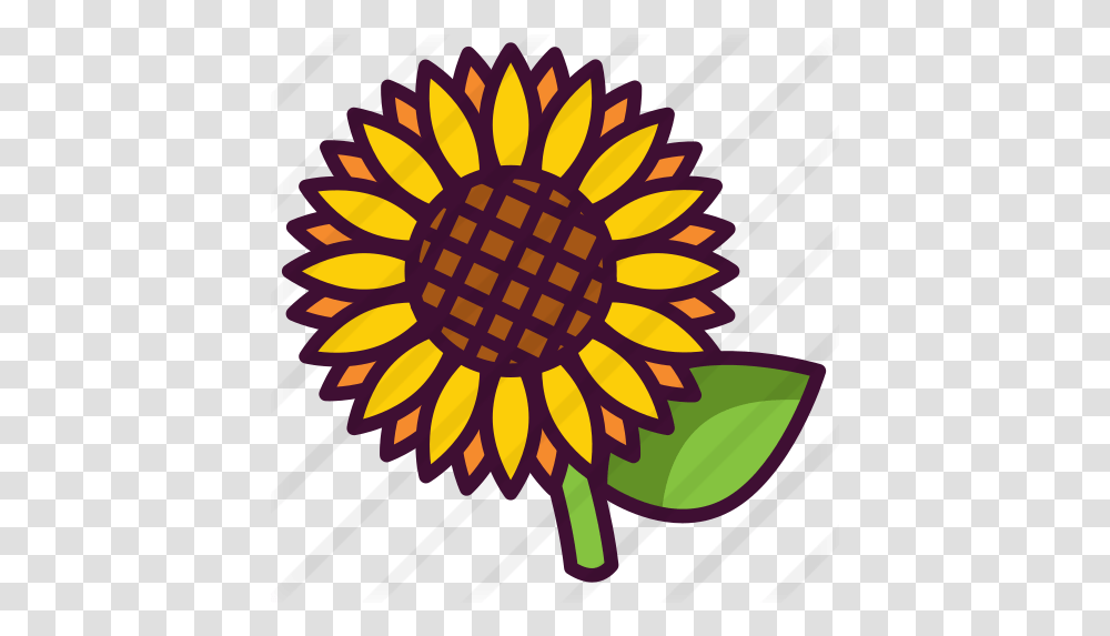 Sunflower Free Nature Icons Gymnastics Federation Of India, Graphics, Art, Floral Design, Pattern Transparent Png