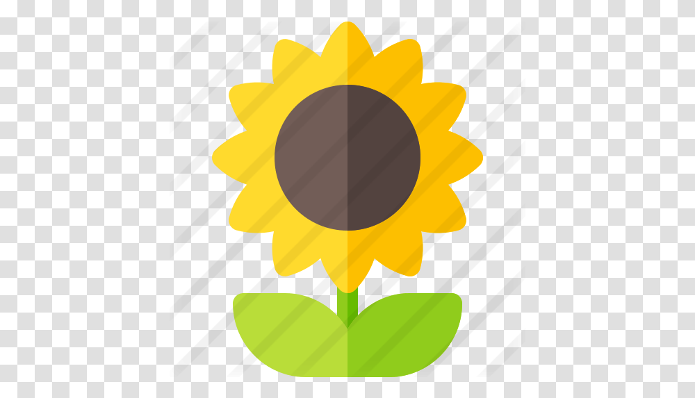 Sunflower Free Nature Icons Sunflower, Plant, Blossom, Gold, Dynamite Transparent Png