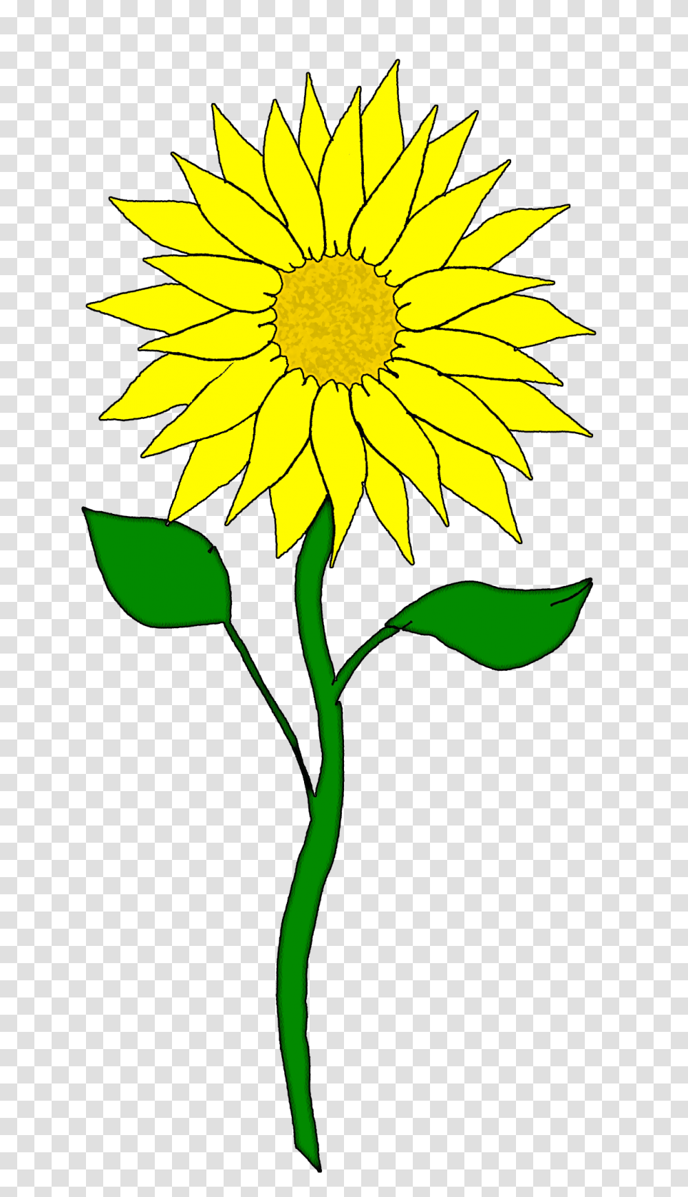 Sunflower Free Sunflower Clip Art Free Clipart Images, Plant, Blossom, Petal, Daisy Transparent Png