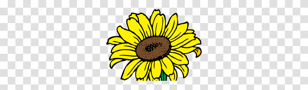 Sunflower Free Vectors Ui Download, Plant, Blossom, Petal, Daisy Transparent Png