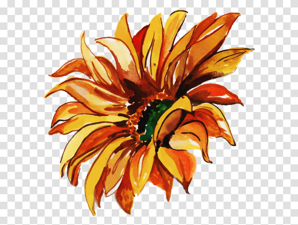 Sunflower, Floral Design, Pattern Transparent Png