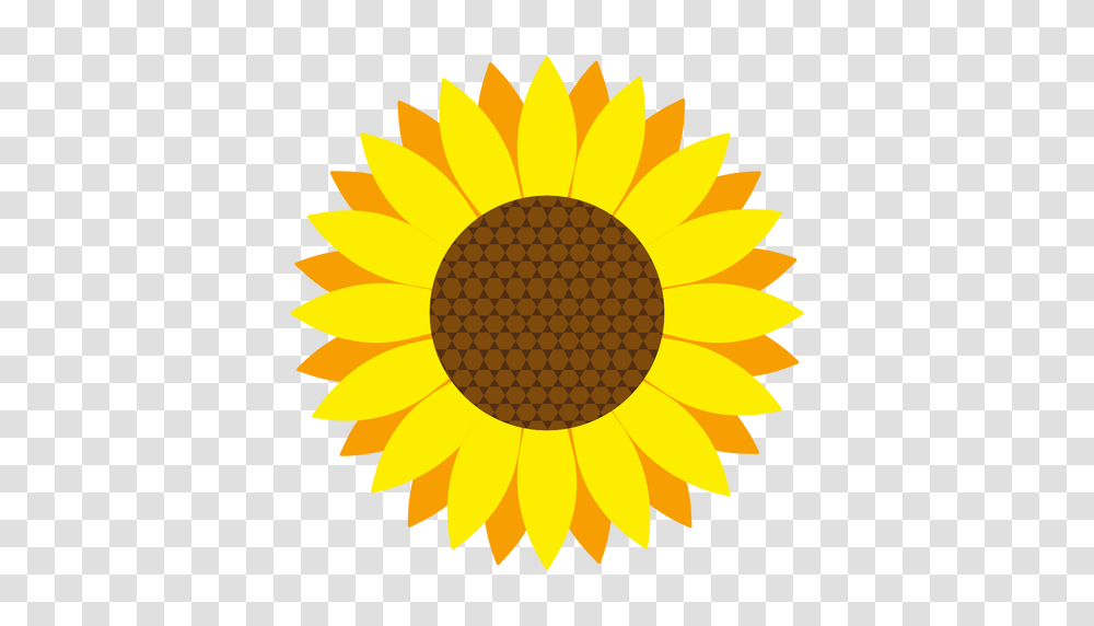 Sunflower Head Vector, Plant, Blossom Transparent Png