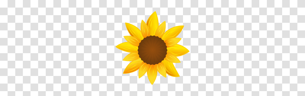Sunflower Icon Agriculture Iconset Xaml Icon Studio, Plant, Blossom, Daisy, Daisies Transparent Png