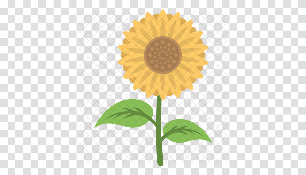 Sunflower Icon Fresh, Plant, Blossom, Lamp, Petal Transparent Png