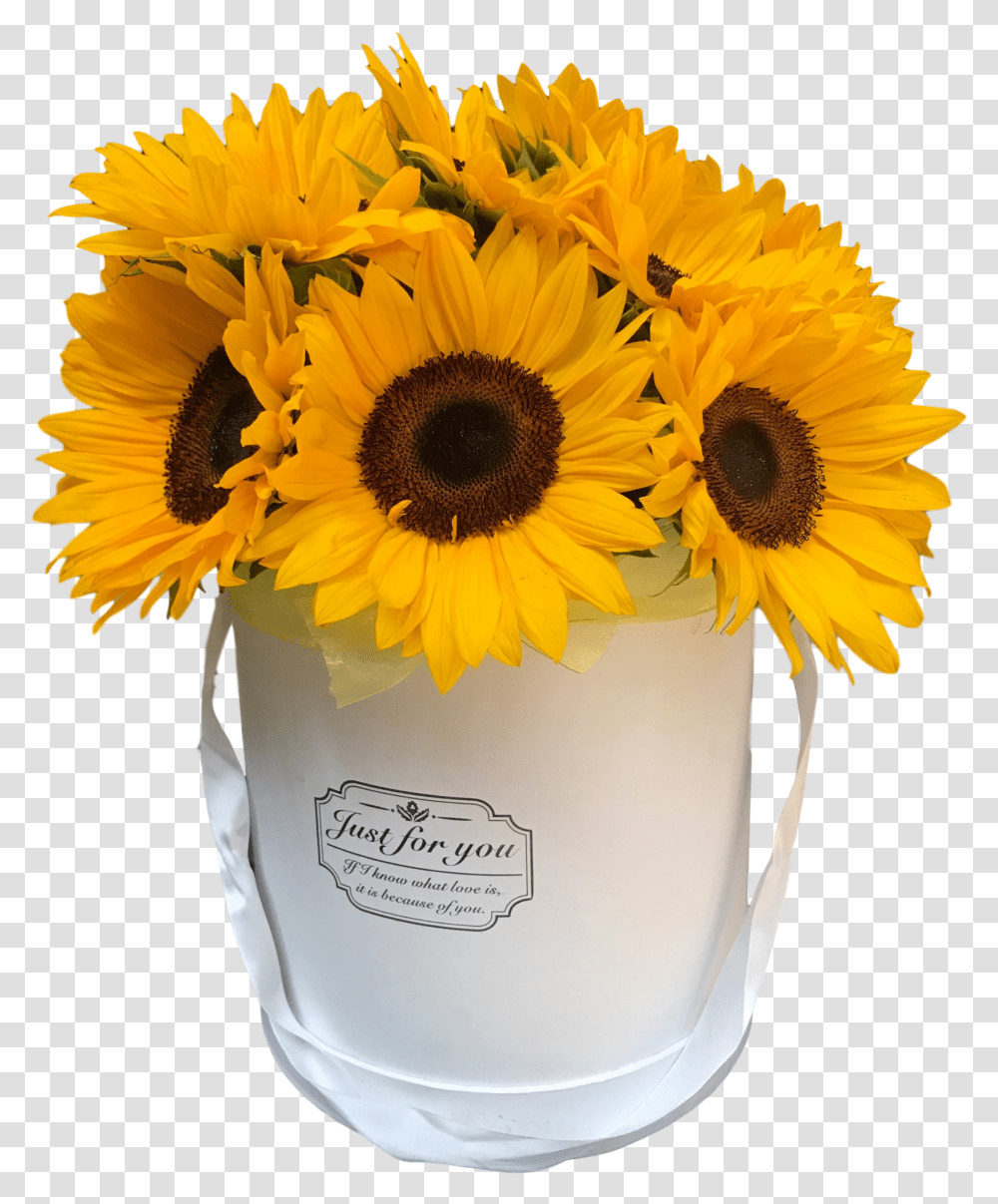 Sunflower Image Hd Real Sunflowers In A Box, Plant, Blossom, Flower Arrangement, Flower Bouquet Transparent Png