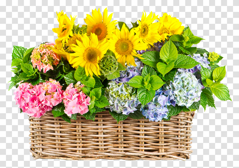 Sunflower Images Background Basket Of Flowers, Plant, Blossom, Flower Bouquet, Flower Arrangement Transparent Png