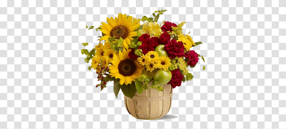 Sunflower Images Background Sunflower On Pot, Plant, Blossom, Flower Bouquet, Flower Arrangement Transparent Png