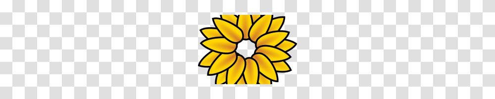 Sunflower Images Clip Art Sunflower Clip Art Resolution Graphics, Plant, Blossom, Petal, Treasure Flower Transparent Png