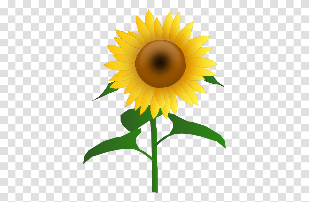 Sunflower Jh Clip Art, Plant, Blossom Transparent Png