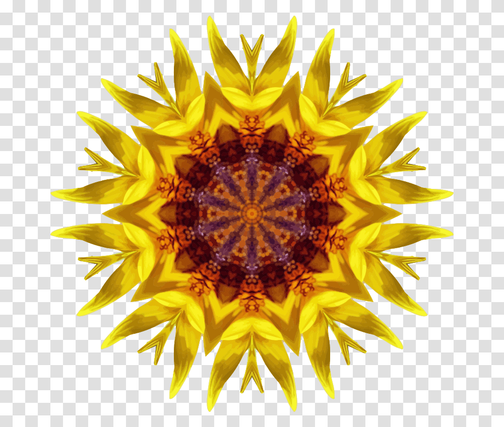Sunflower Kaleidoscope Common Sunflower, Ornament, Pattern, Fractal, Plant Transparent Png