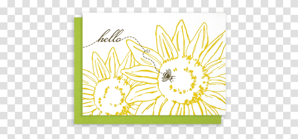 Sunflower, Label Transparent Png