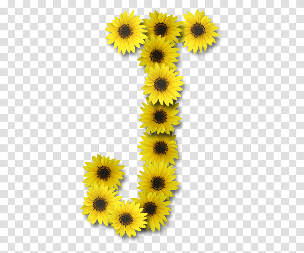 Sunflower Letter J, Plant, Blossom, Rug, Interior Design Transparent Png