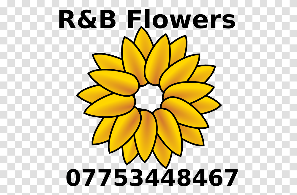 Sunflower Logo Clip Art Sunflower Clip Art, Plant, Blossom, Petal, Lamp Transparent Png