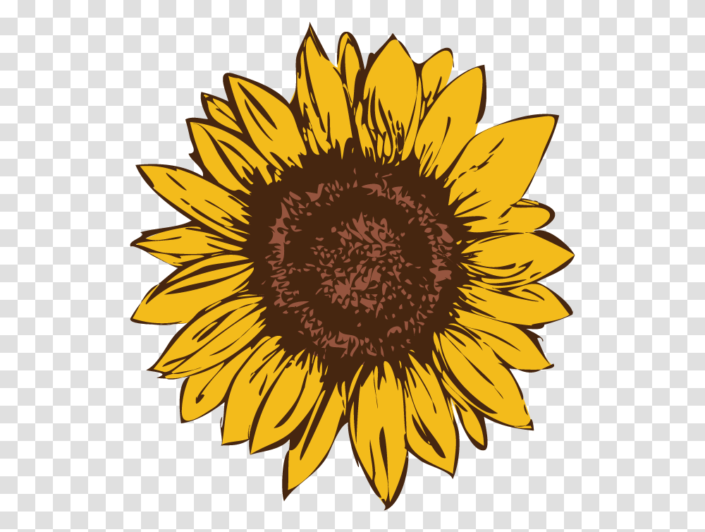 Sunflower Logo Drafts Stephanie Luke, Plant, Blossom, Pineapple, Fruit Transparent Png