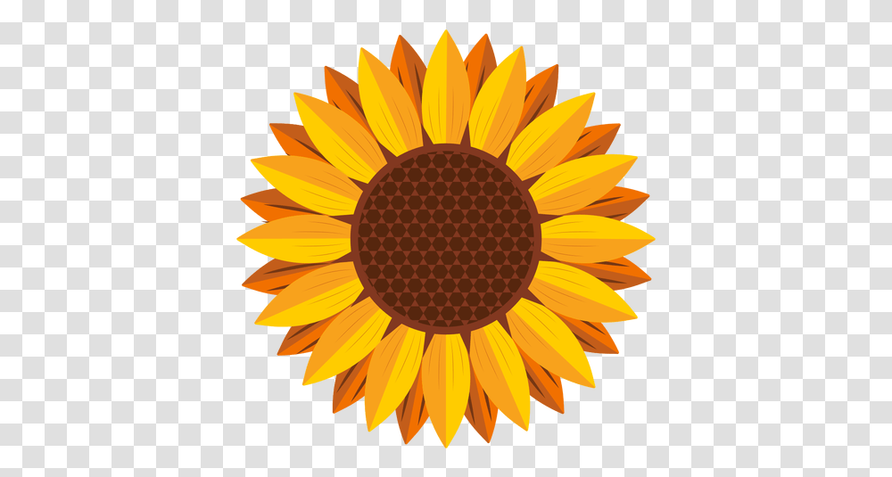 Sunflower Logo Picture Sunflower Vector, Plant, Blossom Transparent Png