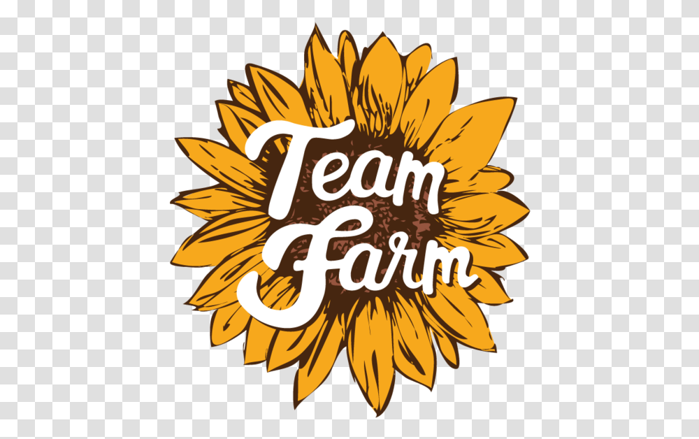 Sunflower Logo Revisions Stephanie Luke Sunflower, Plant, Blossom, Outdoors, Nature Transparent Png