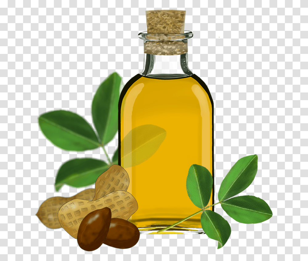 Sunflower Oil Clipart With Nuts Image Purepng Free Background Olive Oil, Plant, Beverage, Bottle, Lamp Transparent Png