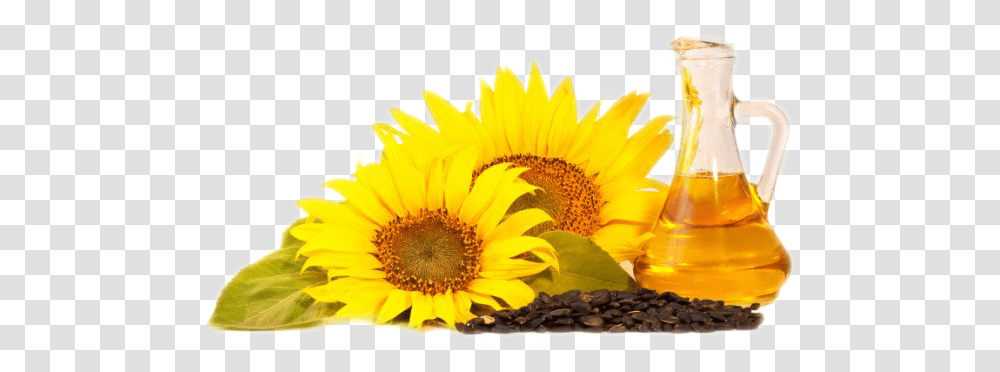 Sunflower Oil, Food, Plant, Blossom, Petal Transparent Png