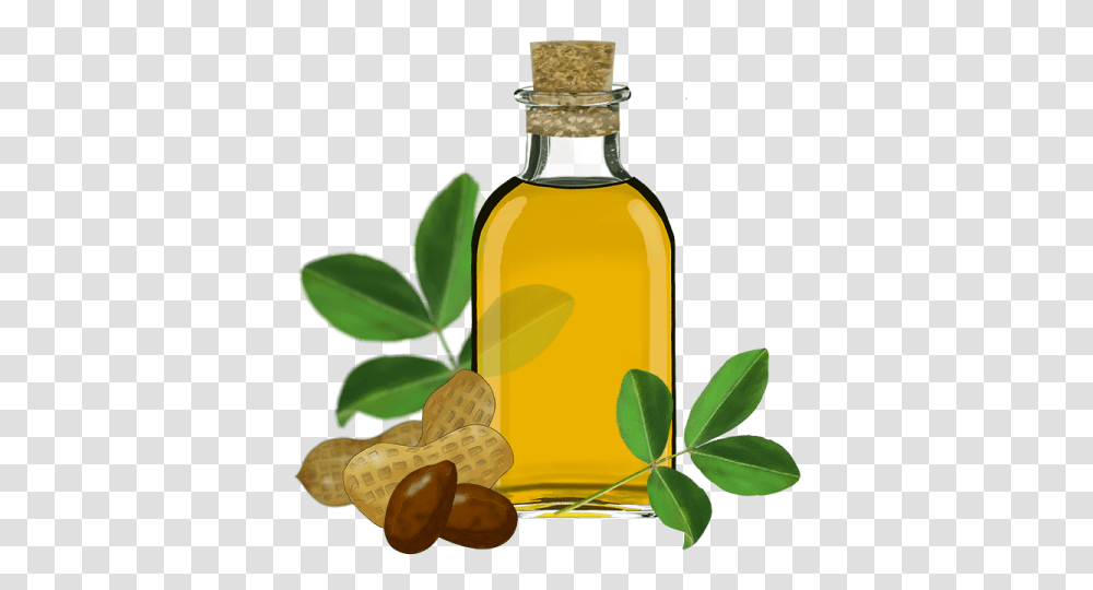 Sunflower Oil, Plant, Bottle, Lamp, Jar Transparent Png