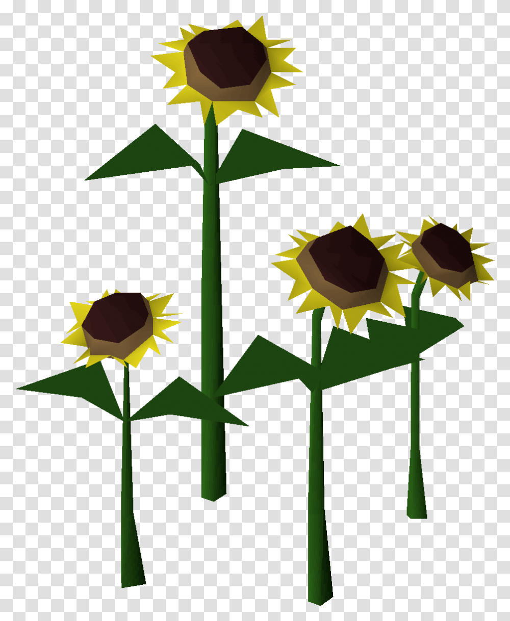 Sunflower Osrs Wiki Fresh, Plant, Blossom, Cross, Symbol Transparent Png