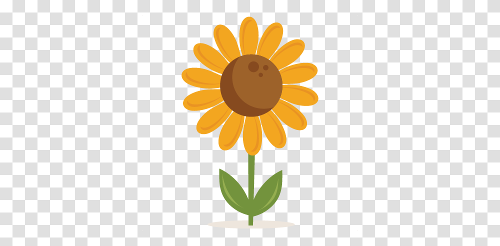 Sunflower Outline Clipart Free Clipart, Plant, Blossom, Lamp, Petal Transparent Png