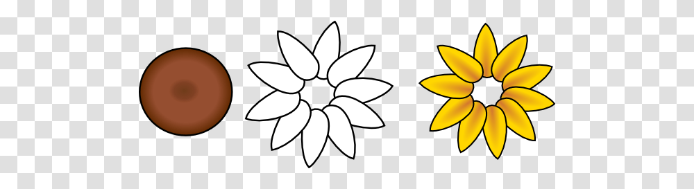 Sunflower Petals Clipart Outline, White, Texture, Stencil Transparent Png
