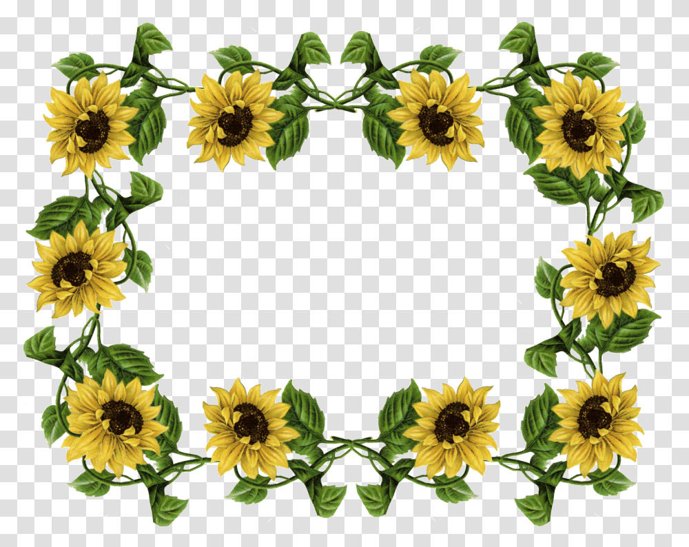 Sunflower Pics Frame Sunflowers Border Design, Plant, Blossom, Wreath Transparent Png