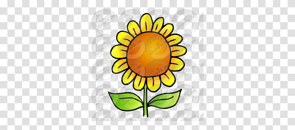 Sunflower Picture For Classroom Therapy Use Great Illustration, Plant, Blossom, Graphics, Art Transparent Png