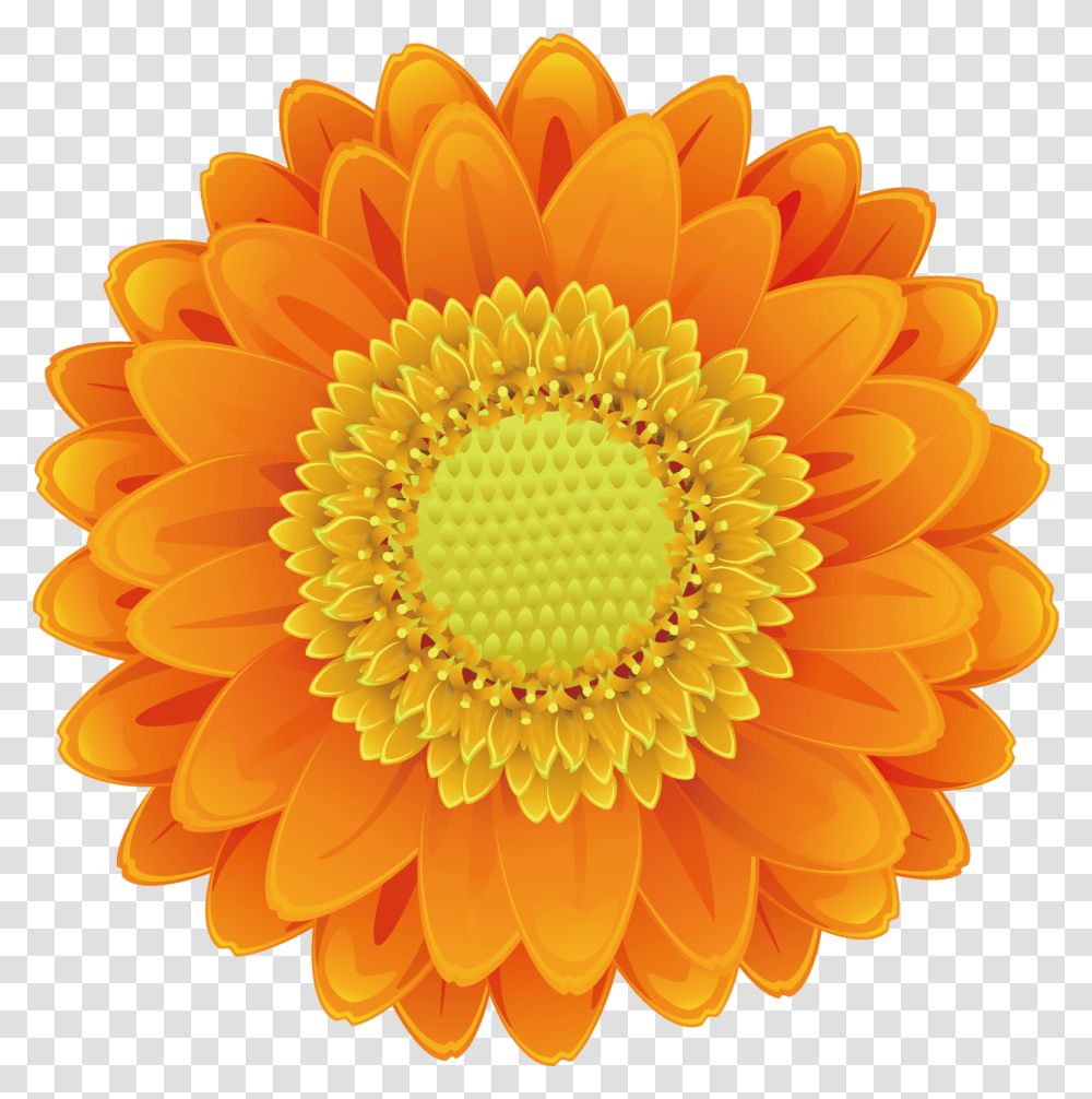 Sunflower Pictures Free Download Sunflower Sunflower Orange Flower Clip Art, Plant, Blossom, Dahlia, Treasure Flower Transparent Png