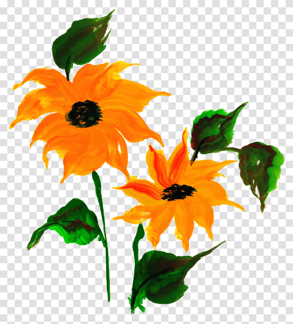 Sunflower, Plant, Blossom, Daisy, Daisies Transparent Png