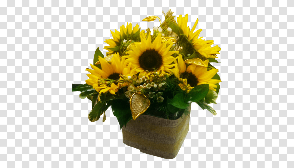 Sunflower, Plant, Blossom, Flower Arrangement, Flower Bouquet Transparent Png