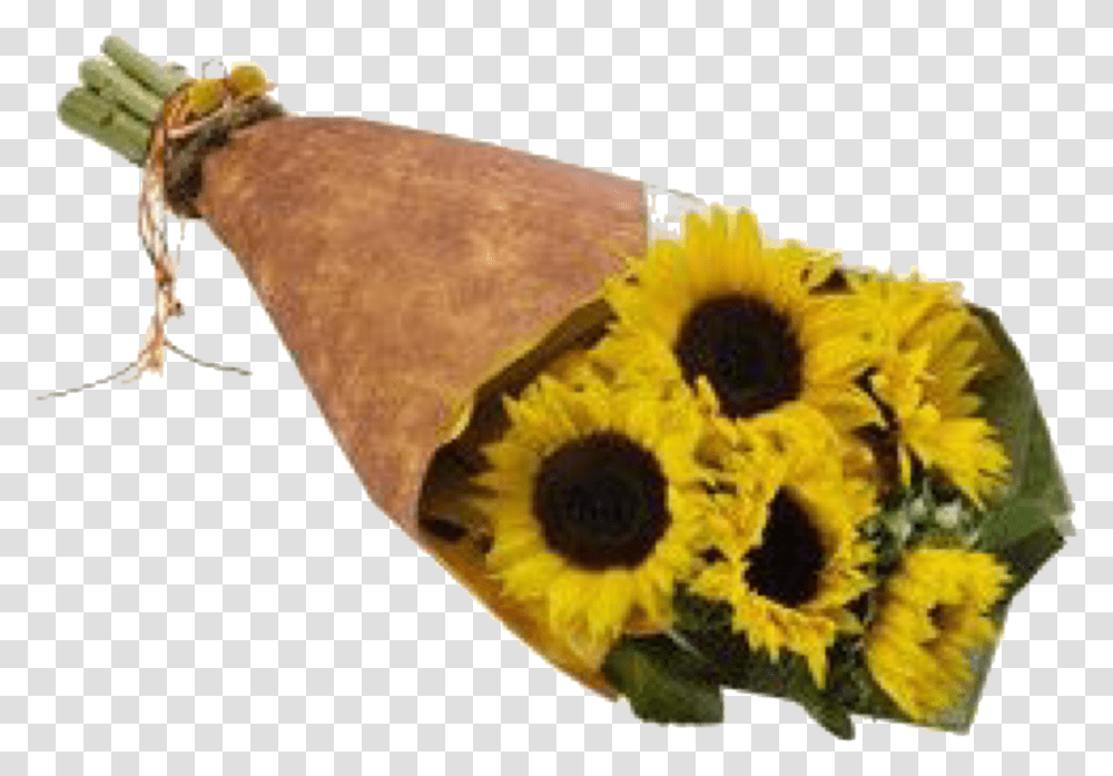 Sunflower, Plant, Blossom, Fungus, Animal Transparent Png