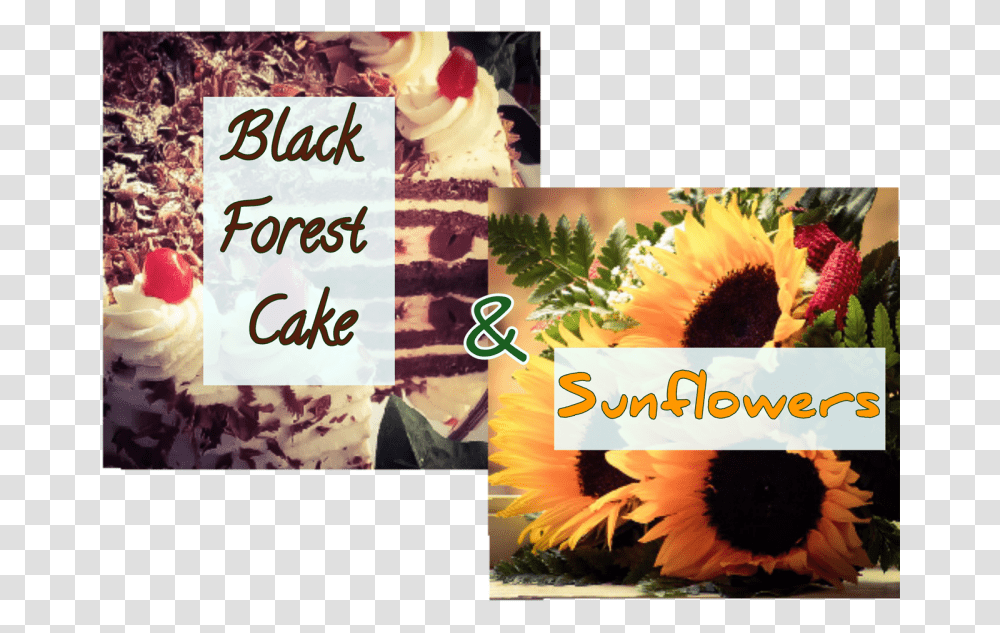 Sunflower, Plant, Blossom, Ice Cream, Food Transparent Png