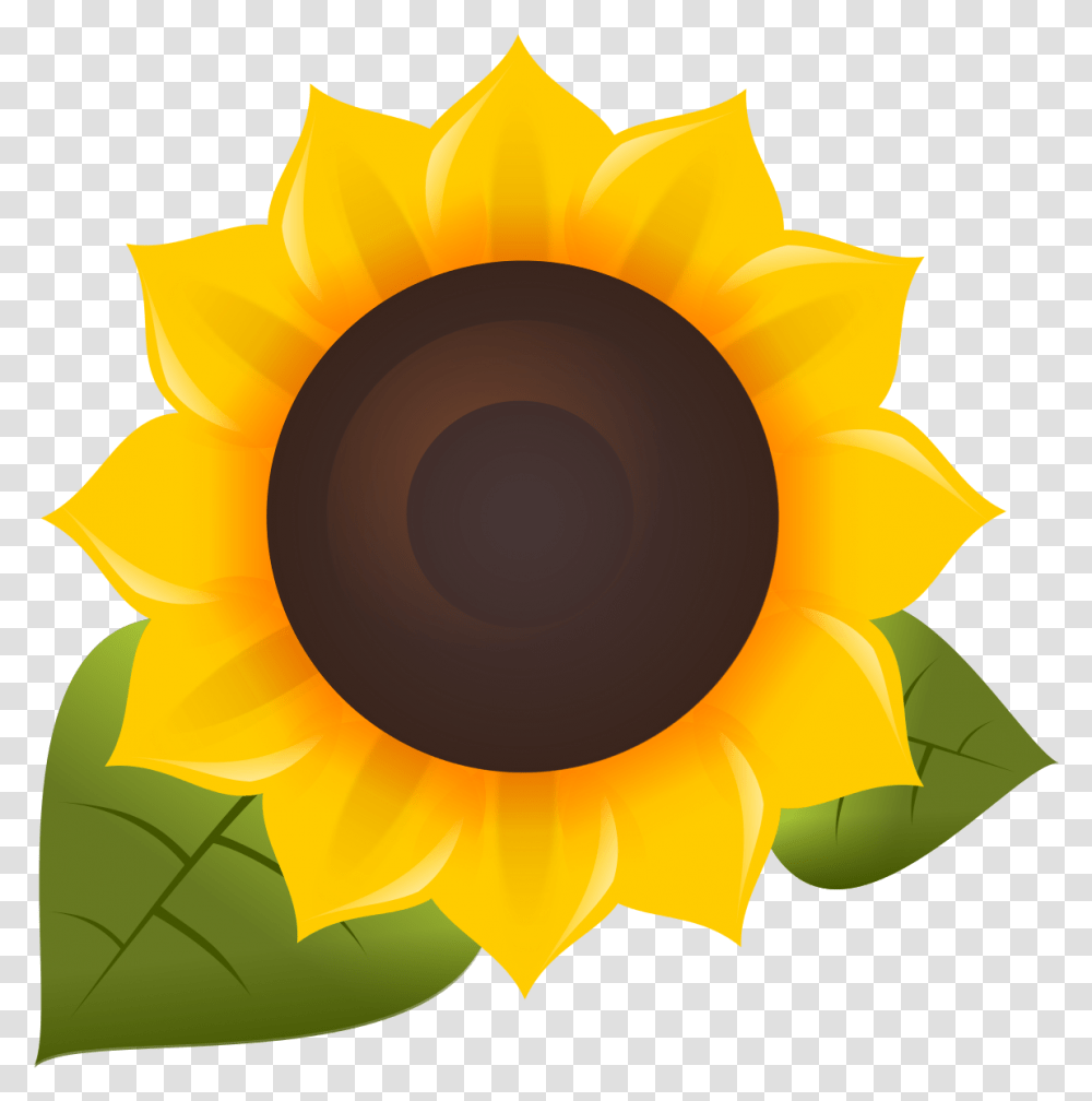 Sunflower, Plant, Blossom, Outdoors, Lamp Transparent Png