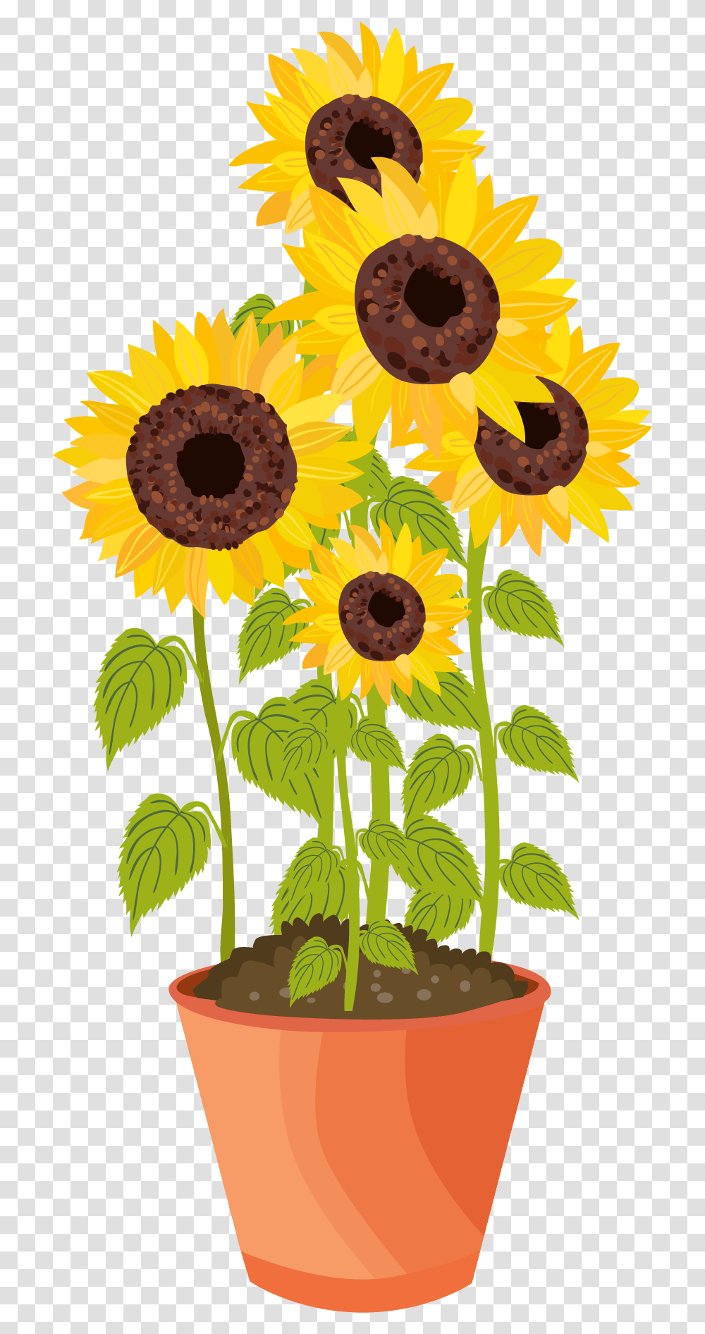 Sunflower, Plant, Blossom, Pineapple, Fruit Transparent Png