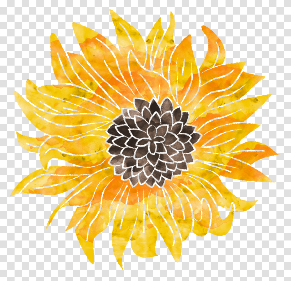 Sunflower, Plant, Blossom, Treasure Flower, Honey Bee Transparent Png