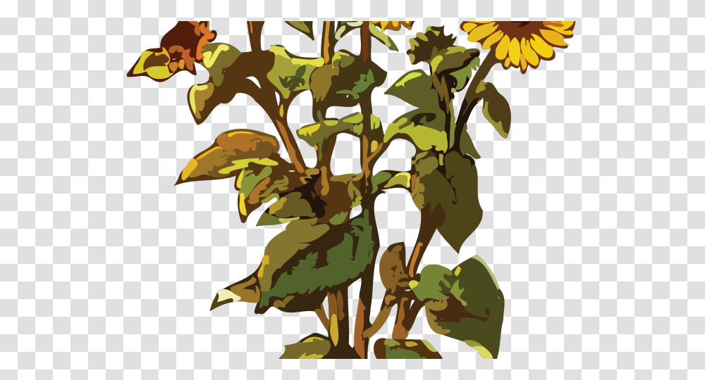 Sunflower Plant Images Clipart, Vegetation, Leaf, Tree, Land Transparent Png