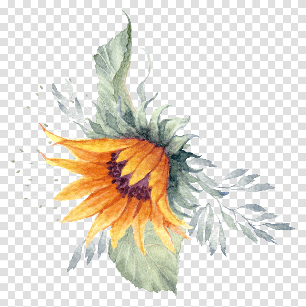 Sunflower Plant Watercolor Hand Painted, Bird, Pattern Transparent Png
