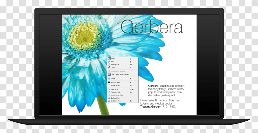 Sunflower, Poster, Advertisement, Flyer, Paper Transparent Png