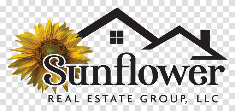 Sunflower Real Estate Group Llc Sunflower Real Estate Llc Morton Location, Plant, Nature, Outdoors, Poster Transparent Png