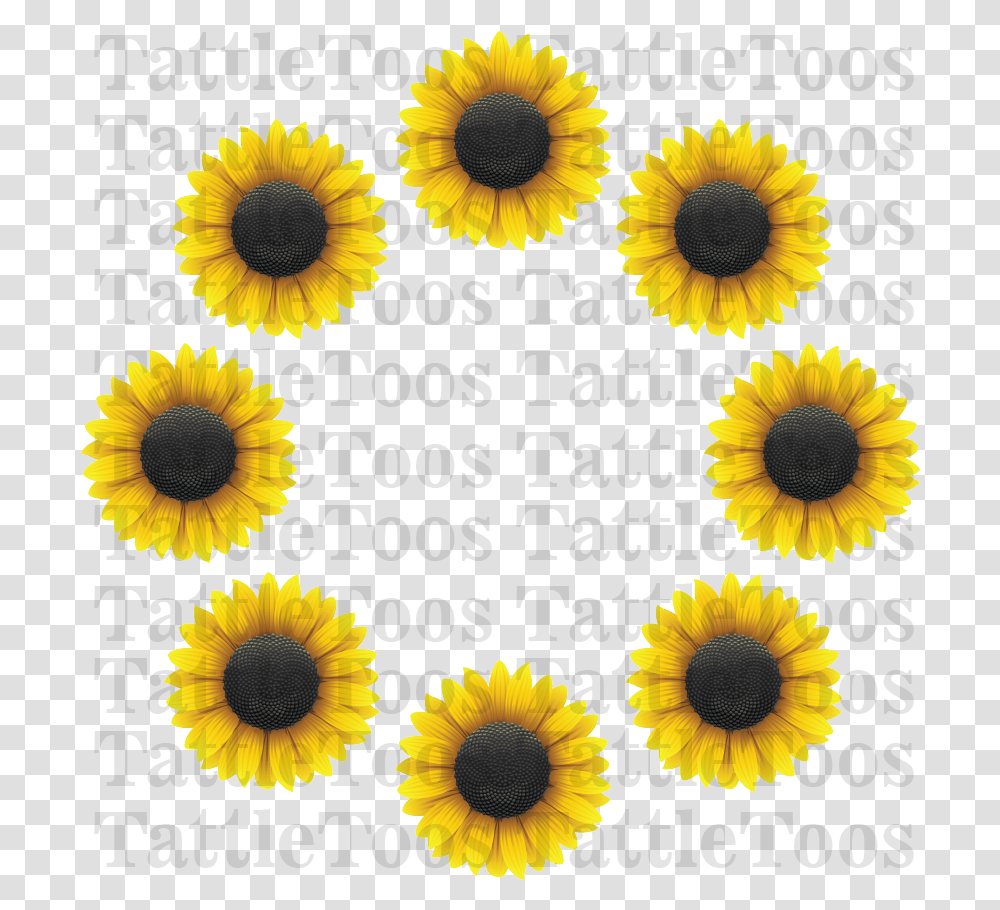 Sunflower Ring Digital Sunflower, Plant, Pattern, Pollen, Petal Transparent Png