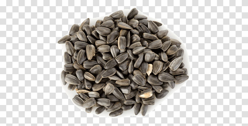 Sunflower Seed 1 Image Sunflower Seeds In Urdu, Plant, Produce, Food, Grain Transparent Png